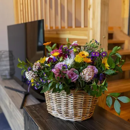 Salamandra Banska Stiavnica